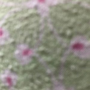 Meet your Posher, Caroline